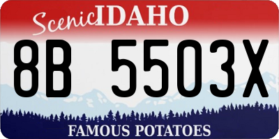 ID license plate 8B5503X