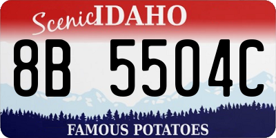 ID license plate 8B5504C