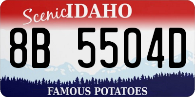 ID license plate 8B5504D