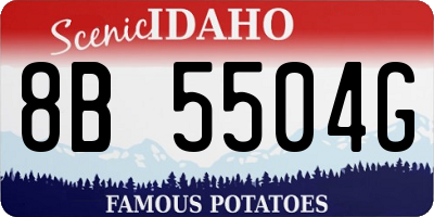 ID license plate 8B5504G