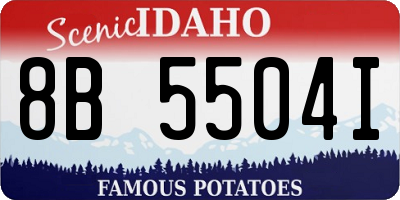 ID license plate 8B5504I
