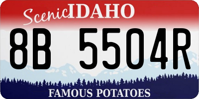 ID license plate 8B5504R