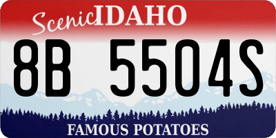 ID license plate 8B5504S