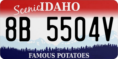 ID license plate 8B5504V