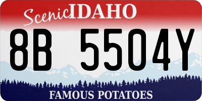ID license plate 8B5504Y
