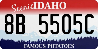 ID license plate 8B5505C