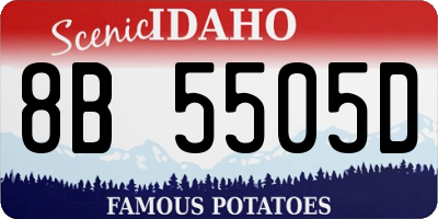 ID license plate 8B5505D