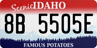 ID license plate 8B5505E