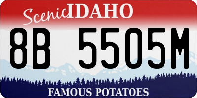 ID license plate 8B5505M