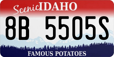 ID license plate 8B5505S