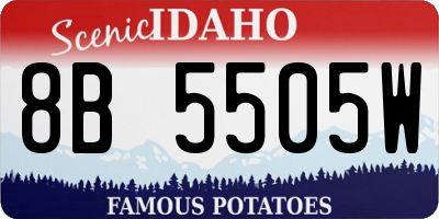 ID license plate 8B5505W