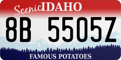 ID license plate 8B5505Z
