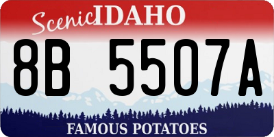 ID license plate 8B5507A