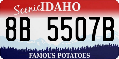ID license plate 8B5507B