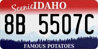 ID license plate 8B5507C