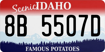 ID license plate 8B5507D