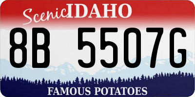 ID license plate 8B5507G