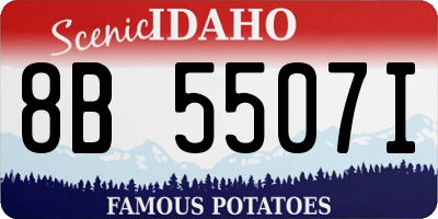 ID license plate 8B5507I