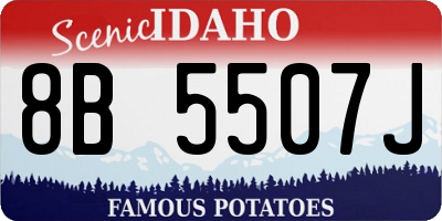 ID license plate 8B5507J