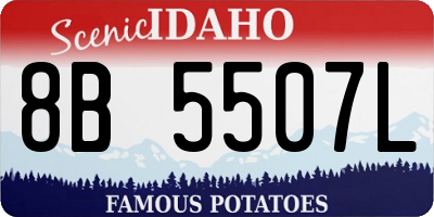 ID license plate 8B5507L