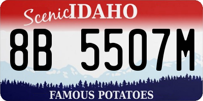ID license plate 8B5507M