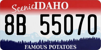 ID license plate 8B5507O