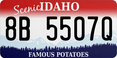 ID license plate 8B5507Q