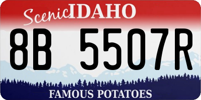 ID license plate 8B5507R