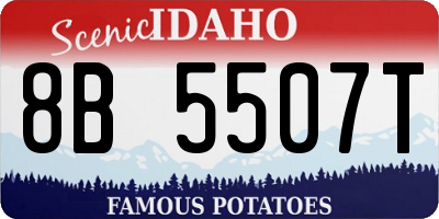 ID license plate 8B5507T