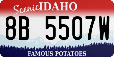 ID license plate 8B5507W