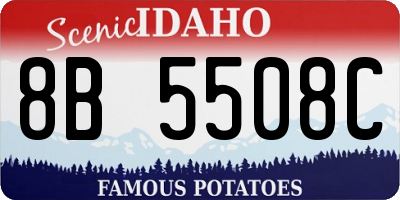 ID license plate 8B5508C