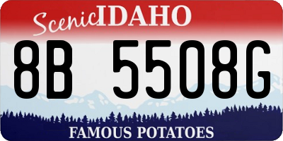 ID license plate 8B5508G