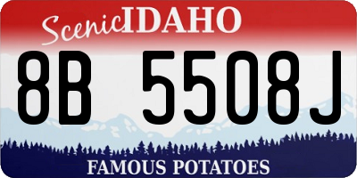 ID license plate 8B5508J