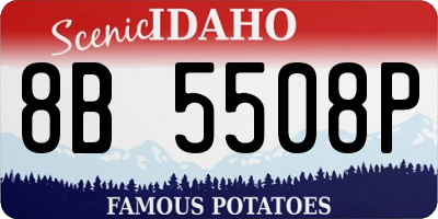 ID license plate 8B5508P