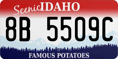 ID license plate 8B5509C