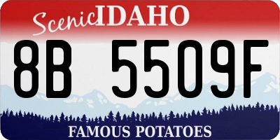 ID license plate 8B5509F