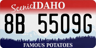 ID license plate 8B5509G