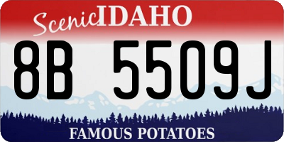 ID license plate 8B5509J