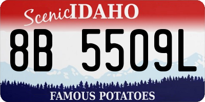 ID license plate 8B5509L