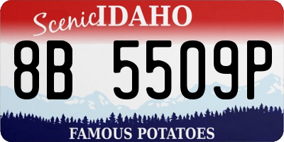 ID license plate 8B5509P