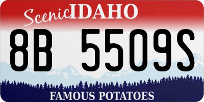 ID license plate 8B5509S