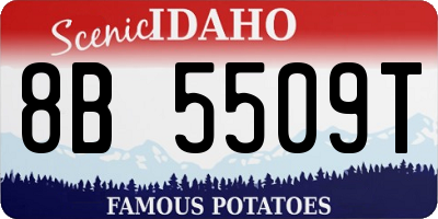 ID license plate 8B5509T