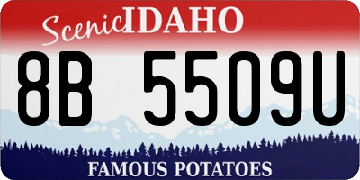 ID license plate 8B5509U