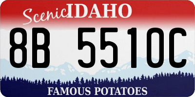 ID license plate 8B5510C