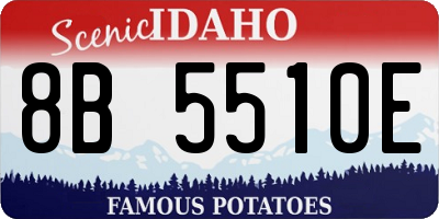 ID license plate 8B5510E