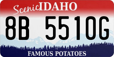 ID license plate 8B5510G