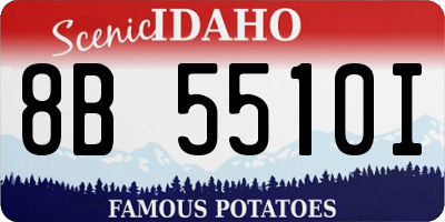ID license plate 8B5510I