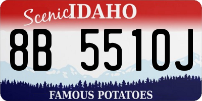 ID license plate 8B5510J
