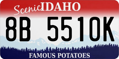ID license plate 8B5510K