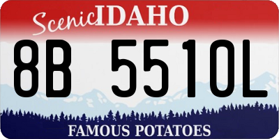 ID license plate 8B5510L